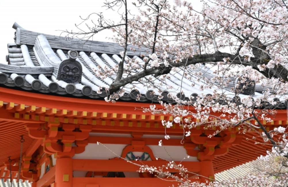 三十三間堂,蓮華王院,京都,京都景點,京都自由行,京都神社,京都廟宇,日本神社寺廟,京都世界遺產,寺廟,寺廟與神社,日本三大神宮,京都一日遊,京都特色,京都旅行,京都私房景點