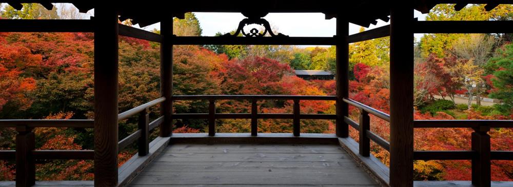 東福寺,東福寺楓葉,東福寺通天橋,東福寺站,京都紅葉,東福寺紅葉,東福寺門票,東福寺交通,東福寺官網,京都,京都景點,京都自由行,京都神社,京都廟宇,日本神社寺廟,京都世界遺產,寺廟,寺廟與神社,日本三大神宮,京都一日遊,京都特色,京都旅行,京都私房景點