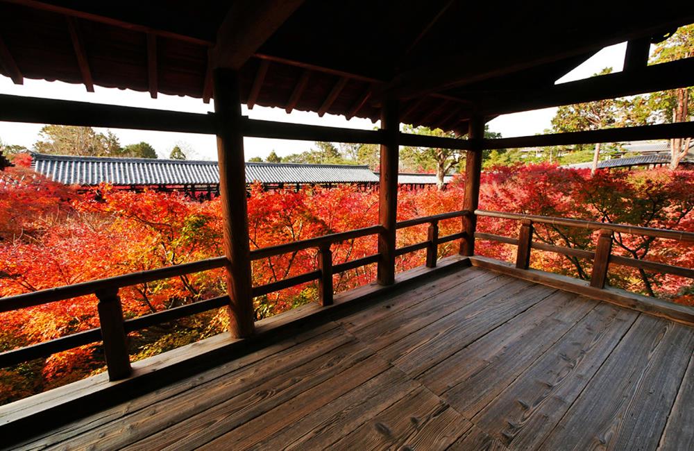 東福寺,東福寺楓葉,東福寺通天橋,東福寺站,京都紅葉,東福寺紅葉,東福寺門票,東福寺交通,東福寺官網,京都,京都景點,京都自由行,京都神社,京都廟宇,日本神社寺廟,京都世界遺產,寺廟,寺廟與神社,日本三大神宮,京都一日遊,京都特色,京都旅行,京都私房景點