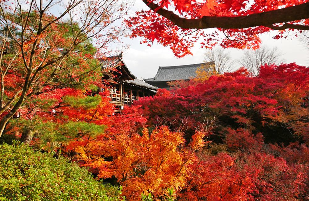 東福寺,東福寺楓葉,東福寺通天橋,東福寺站,京都紅葉,東福寺紅葉,東福寺門票,東福寺交通,東福寺官網,京都,京都景點,京都自由行,京都神社,京都廟宇,日本神社寺廟,京都世界遺產,寺廟,寺廟與神社,日本三大神宮,京都一日遊,京都特色,京都旅行,京都私房景點