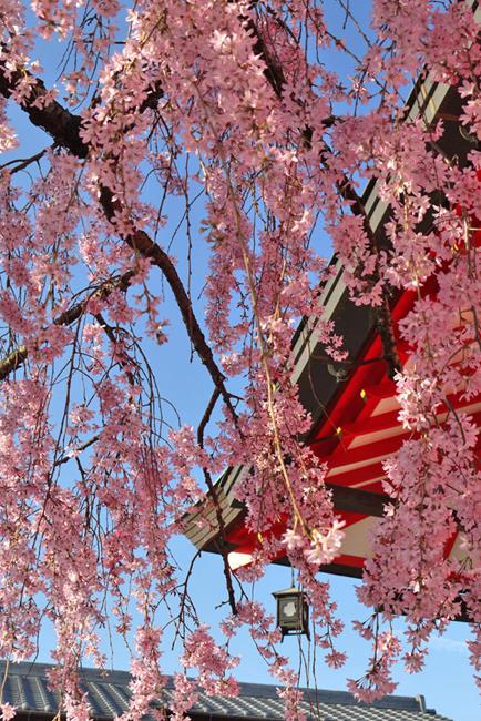 伏見稻荷大社,稻荷神社,伏見稻荷神社,稻荷神社狐狸,稻荷神社狐狸御守,稻荷神社故事,日本三大稻荷神社,伏見稻荷大社御守,伏見稻荷大社靈異,伏見稻荷神社狐狸,伏見稻荷大社介紹,京都,京都景點,京都自由行,京都神社,京都廟宇,日本神社寺廟,京都世界遺產,寺廟,寺廟與神社,日本三大神宮,京都一日遊,京都特色,京都旅行,京都私房景點