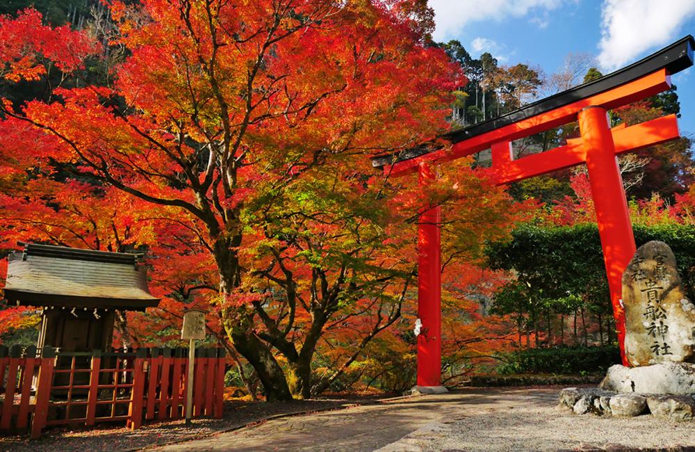 貴船神社,貴船神社傳說,戀愛神社,貴船神社官網,京都,京都景點,京都自由行,京都特色,京都旅行,京都私房景點,京都遊記,京都神社,京都市,京都一日遊,京都廟宇,日本神社寺廟,京都世界遺產,寺廟,寺廟與神社