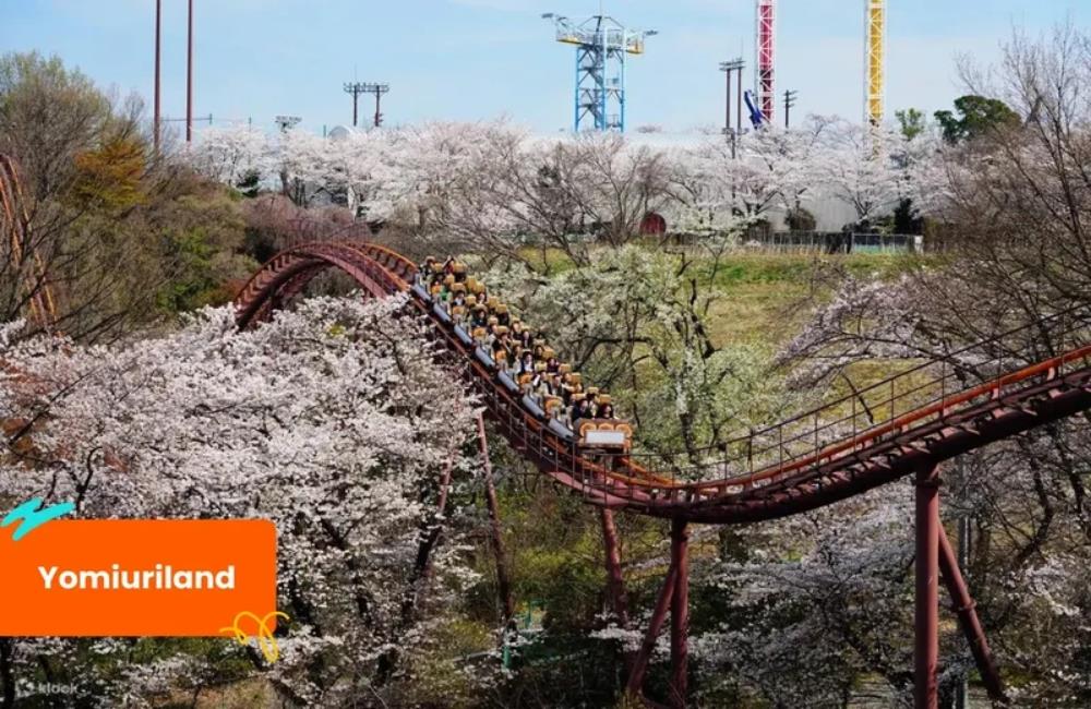 東京讀賣樂園,東京景點通票,東京景點通行證,東京通票,東京周遊券,東京,東京景點,東京自由行,東京旅遊,東京購物,東京自由行必備,東京自由行交通,日本自由行行程,東京三日遊,Tokyo Pass