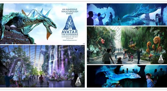 新加坡景點推薦,新加坡濱海灣花園,阿凡達世界：全新體驗,Avatar: The Experience,阿凡達世界,新加坡濱海灣花園雲霧林,雲霧林,濱海灣花園官網,濱海灣花園攻略,濱海灣花園入口,新加坡,新加坡旅遊,新加坡景點,新加坡入境,新加坡地標,雲霧林冷室,新加坡自由行程