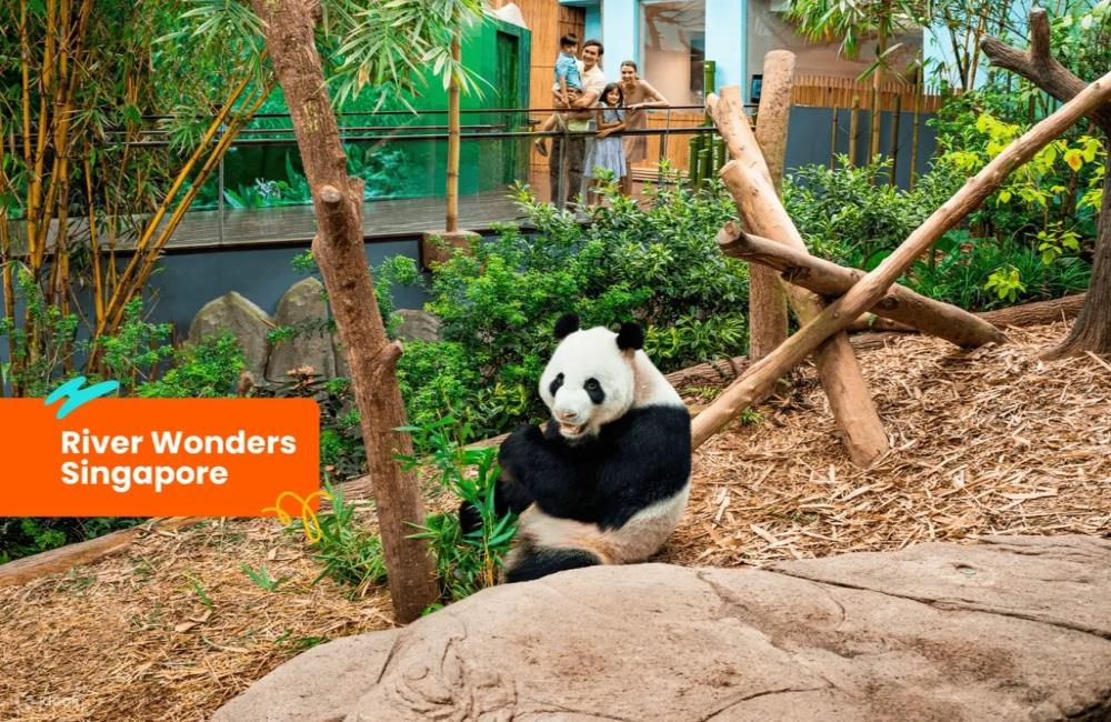 新加坡動物園,新加坡野生動物景點通票,新加坡動物園門票,新加坡動物園介紹,新加坡動物園套票,新加坡旅遊,新加坡,新加坡景點,新加坡野生動物景點通票,新加坡著名景點,,新加坡旅遊,新加坡自由行,新加坡旅遊景點,新加坡三天兩夜,新加坡自由行親子,新加坡親子自由行