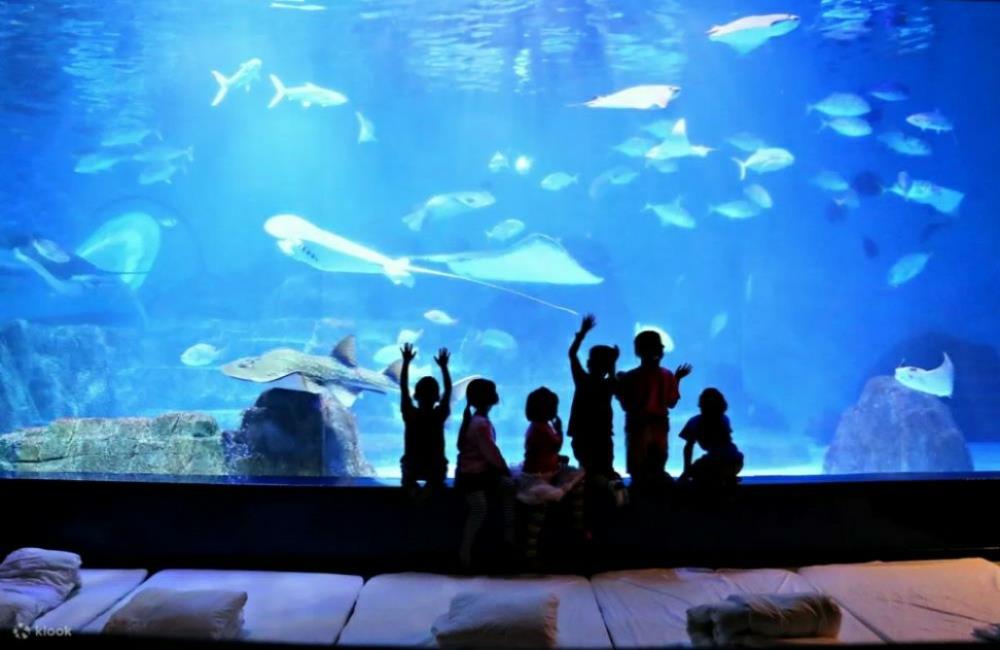 遠雄海洋公園,海洋公園,花蓮遠雄海洋公園,遠雄海洋公園住宿,遠雄海洋公園門票買一送一,花蓮遠雄海洋公園門票,遠雄海洋公園玩多久, 花蓮遠雄海洋公園,花蓮遠雄,遠雄飯店,花蓮遠雄海洋公園門票,遠雄海洋公園,花蓮海洋公園,遠雄海洋公園門票,花蓮海洋公園住宿,花蓮海洋公園門票