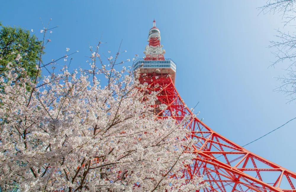 東京鐵塔,東京鐵塔拍照,東京鐵塔行程,東京鐵塔交通,東京鐵塔門票,東京鐵塔展望台,東京鐵塔top deck,東京鐵塔klook,東京鐵塔高度,東京鐵塔晴空塔,日本東京鐵塔瞭望台,東京景點,東京,東京必去,日本東京景點,東京景點地圖,東京十大景點,日本景點,日本景點排名,日本必去景點,日本十大景點,日本景點東京,日本有名景點,東京自由行,日本東京,東京旅遊