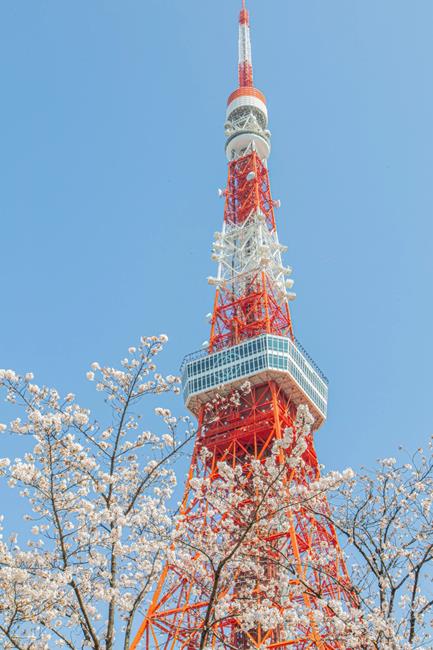 東京鐵塔,東京鐵塔拍照,東京鐵塔行程,東京鐵塔交通,東京鐵塔門票,東京鐵塔展望台,東京鐵塔top deck,東京鐵塔klook,東京鐵塔高度,東京鐵塔晴空塔,日本東京鐵塔瞭望台,東京景點,東京,東京必去,日本東京景點,東京景點地圖,東京十大景點,日本景點,日本景點排名,日本必去景點,日本十大景點,日本景點東京,日本有名景點,東京自由行,日本東京,東京旅遊