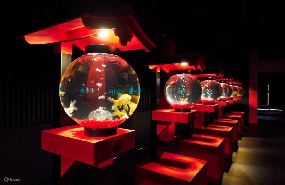 東京銀座藝術水族館,金魚美術館,ART AQUARIUM MUSEUM,東京金魚展,東京水族館,日本藝術水族館,金魚展,Art Aquarium Museum,東京景點,東京,日本東京景點,東京私房景點,東京附近景點,東京十大景點,東京新景點,日本景點東京,東京親子,東京親子博物館