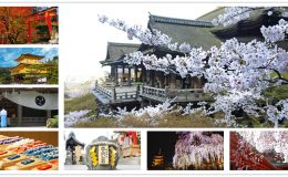 京都景點,京都神社,京都,京都神社御守,京都特色神社,京都神社地圖,清水寺,京都一日遊,京都景點地圖,京都私房景點,京都十大景點,京都秘密景點,京都賞櫻,日本神社,日本神社拜什麼,日本神社鳥居,日本有名神社,日本神社祈福,日本神社神像,日本神社由來,京都自由行,京都深度旅遊,京都自由行機加酒