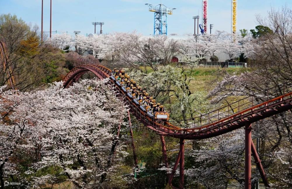 讀賣樂園,東京讀賣樂園,讀賣樂園交通,東京遊樂園,讀賣樂園門票,讀賣樂園klook,讀賣樂園燈飾,東京景點,東京,東京必去,日本東京景點,東京十大景點,日本景點,日本景點排名,日本必去景點,日本十大景點,日本景點東京,日本有名景點,東京自由行,日本東京,東京旅遊,東京親子,東京附近景點,東京近郊親子,東京近郊親子景點