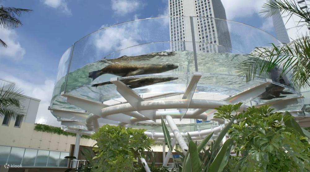 東京池袋陽光水族館,池袋水族館,陽光水族館,陽光水族館門票,東京景點,東京,日本東京景點,東京自由行,東京旅遊,東京親子,東京近郊親子,東京近郊親子景點,東京親子水族館,東京親子景點,東京水族館