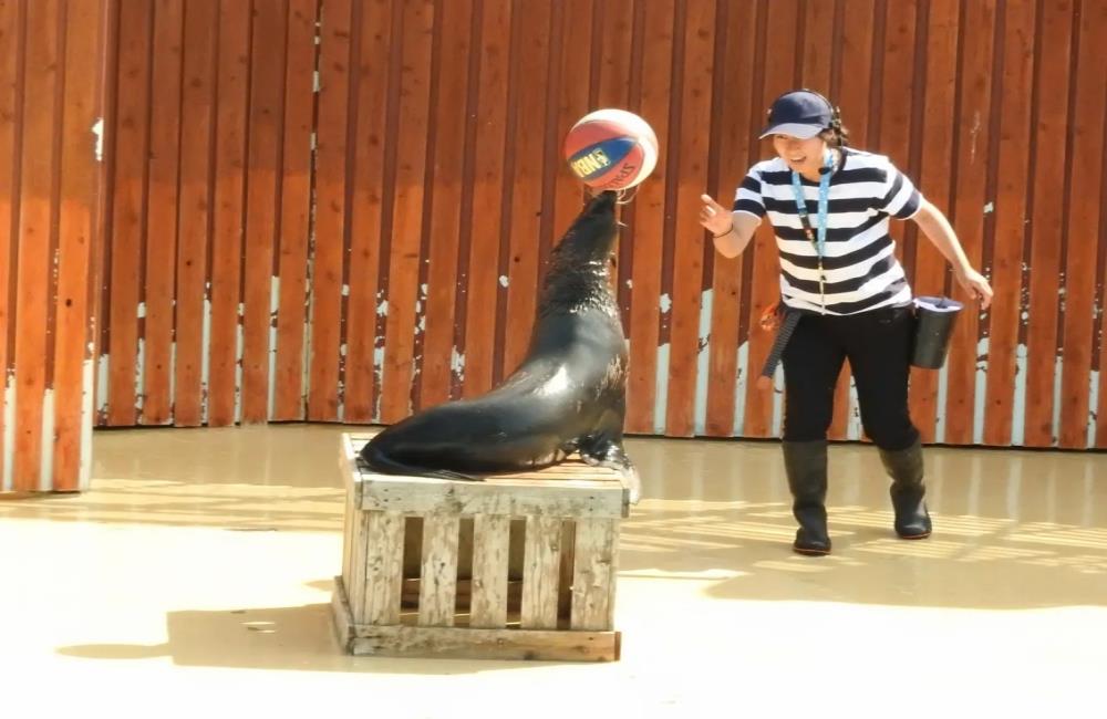 東武動物公園,東京動物園,東京動物園,東京親子景點,東京近郊親子,東京近郊親子景點,東京親子博物館,東京近郊親子景點,日本親子自由行,日本親子景點,日本景點,日本景點排名,日本必去景點,日本十大景點,日本景點東京,日本有名景點,東京附近景點,東京近郊景點