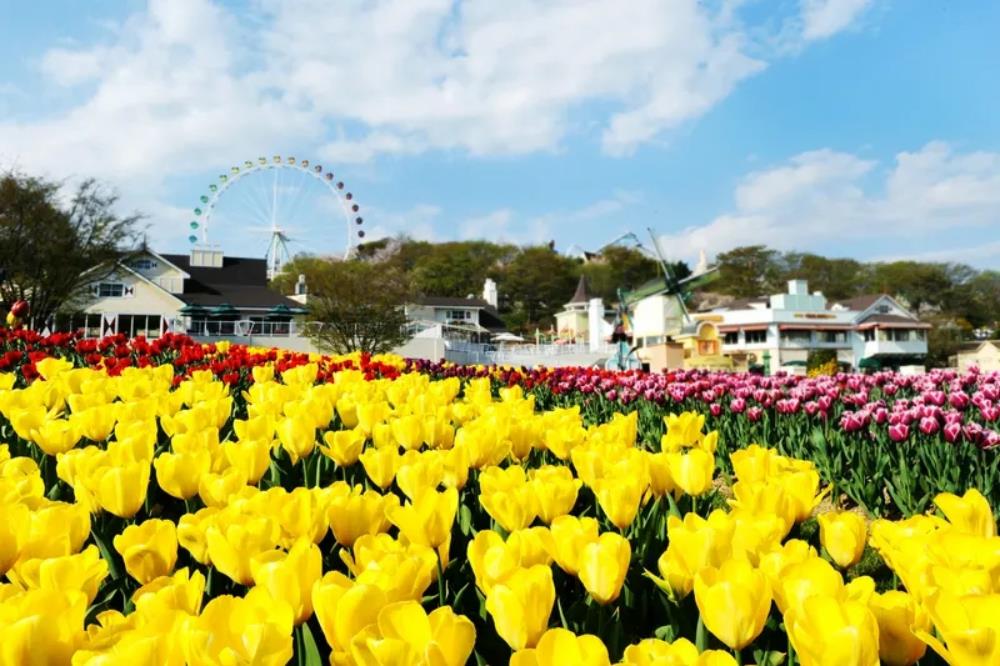 愛寶樂園,愛寶樂園門票,愛寶樂園雲霄飛車,愛寶樂園設施,愛寶樂園攻略,愛寶樂園一日遊,愛寶樂園遊樂設施,愛寶樂園交通,愛寶樂園Q-PASS,愛寶樂園快速通關,Everland,everland韓國,愛寶樂園,韓國樂園,韓國愛寶樂園,首爾愛寶樂園,韓國首爾樂園,樂天世界愛寶樂園,韓國,韓國景點,韓國首爾景點,韓國著名景點,韓國打卡景點,韓國自由行,首爾旅遊,韓國親子景點,首爾自由行