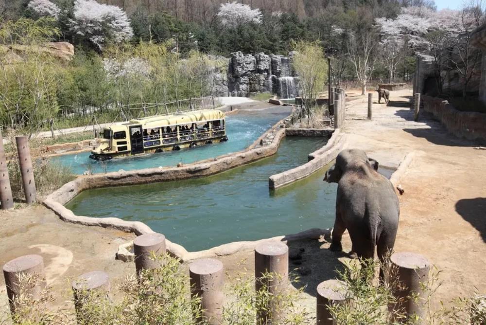 愛寶樂園,愛寶樂園門票,愛寶樂園雲霄飛車,愛寶樂園設施,愛寶樂園攻略,愛寶樂園一日遊,愛寶樂園遊樂設施,愛寶樂園交通,愛寶樂園Q-PASS,愛寶樂園快速通關,Everland,everland韓國,愛寶樂園,韓國樂園,韓國愛寶樂園,首爾愛寶樂園,韓國首爾樂園,樂天世界愛寶樂園,韓國,韓國景點,韓國首爾景點,韓國著名景點,韓國打卡景點,韓國自由行,首爾旅遊,韓國親子景點,首爾自由行