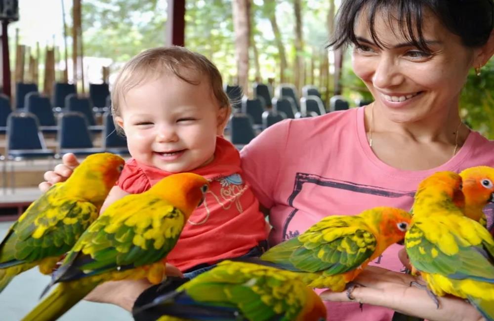 普吉島百鳥園,Phuket Bird Park,普吉島景點,普吉島景點推薦,泰國 普吉島景點,普吉島自由行,普吉島景點,普吉島四天三夜,普吉島,普吉島行程,普吉島,普吉島旅遊,泰國,泰國普吉島