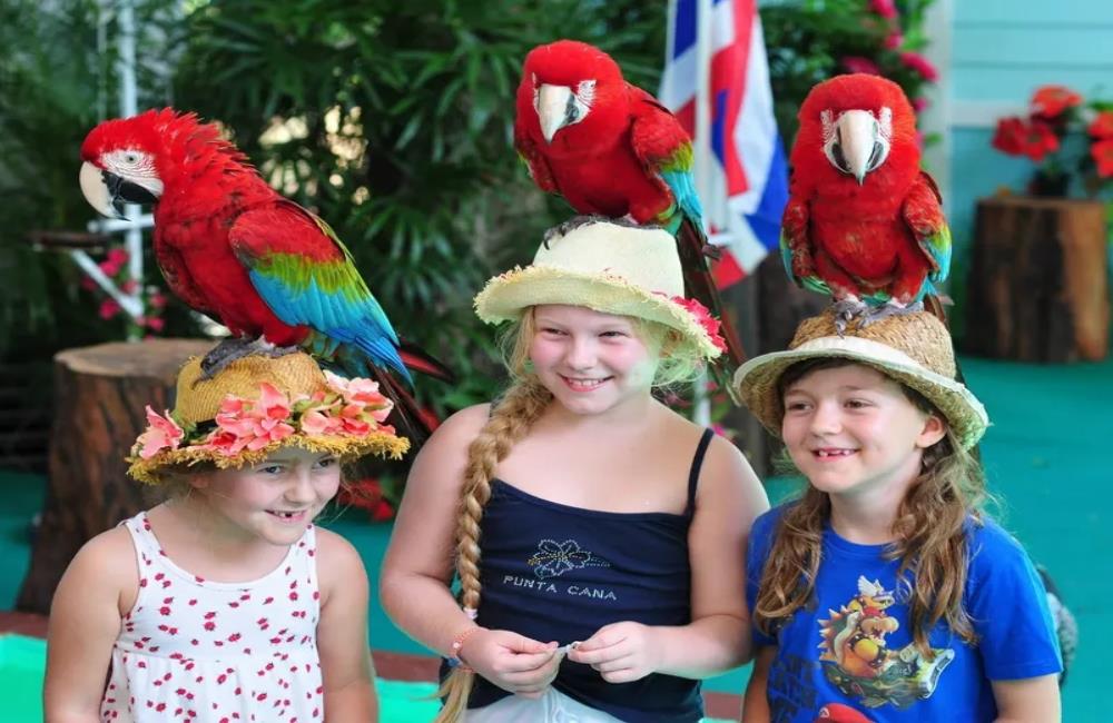 普吉島百鳥園,Phuket Bird Park,普吉島景點,普吉島景點推薦,泰國 普吉島景點,普吉島自由行,普吉島景點,普吉島四天三夜,普吉島,普吉島行程,普吉島,普吉島旅遊,泰國,泰國普吉島