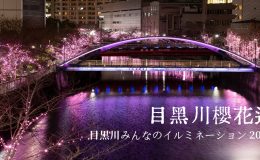 東京點燈2023,目黑川,目黑川星巴克,目黑川櫻花2023,目黑川景點,目黑川交通,目黑川步道,目黑川 秋天,目黑川櫻花道,東京點燈,東京,東京冬季點燈,日本,聖誕點燈,東京,日本