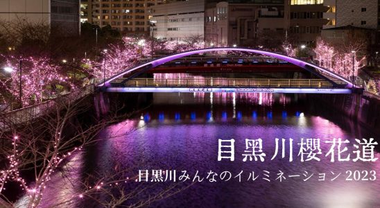 東京點燈2023,目黑川,目黑川星巴克,目黑川櫻花2023,目黑川景點,目黑川交通,目黑川步道,目黑川 秋天,目黑川櫻花道,東京點燈,東京,東京冬季點燈,日本,聖誕點燈,東京,日本