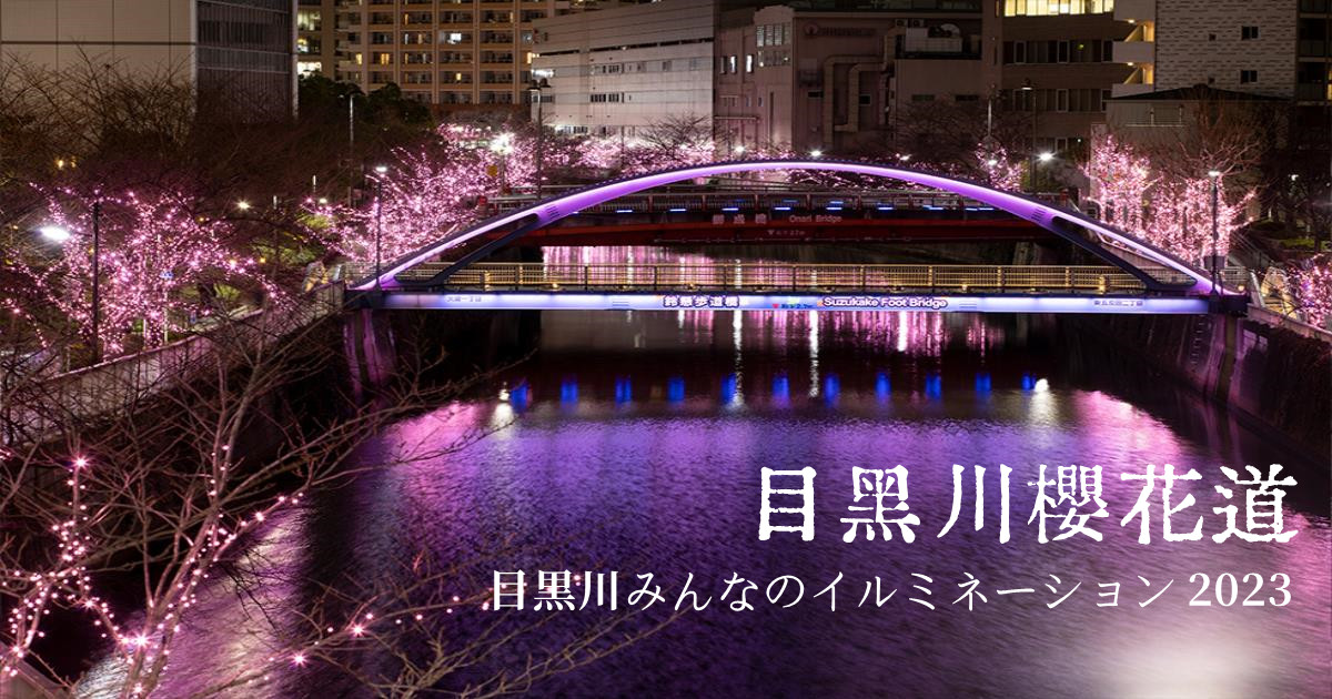 東京點燈2023,目黑川,目黑川星巴克,目黑川櫻花2023,目黑川景點,目黑川交通,目黑川步道,目黑川 秋天,目黑川櫻花道,東京點燈,東京,東京冬季點燈,日本,聖誕點燈,東京,日本