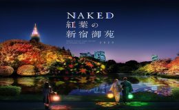 東京夜楓推薦,東京夜楓,NAKED 紅葉新宿御苑 2023,東京夜楓 推薦,東京紅葉2023,東京紅葉,東京紅葉景點,東京紅葉時期,東京紅葉情報,東京紅葉見頃,東京紅葉預測,東京紅葉名所,東京紅葉情報2023,東京紅葉季節,新宿御苑,新宿御苑 楓葉,新宿御苑開放時間,新宿御苑前,新宿御苑 紅葉,新宿御苑 門票,日本,東京,紅葉,賞楓,賞楓景點,夜楓