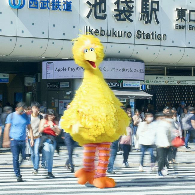 日本東京新景點,芝麻街,芝麻街人物,芝麻街成員,日本,東京新景點,東京景點,東京,芝麻街複合式旗艦店,SESAME STREET MARKET,東京池袋太陽城,東京景點 親子,東京景點攻略,SESAME STREET,東京自由行,東京旅遊,東京親子景點 