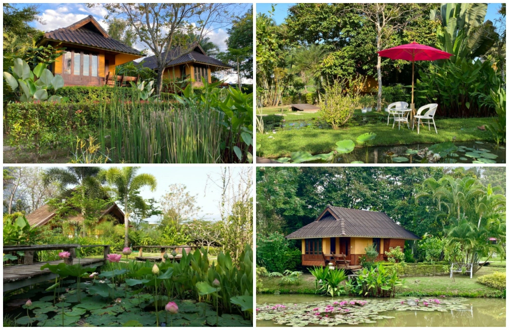 帕拉維達拜度假酒店,拜縣帕拉維達度假村,普拉維達渡假村,Pura Vida Pai Resort,拜縣住宿推薦,拜縣,拜縣住宿,泰國拜縣,拜縣 清邁,泰國,拜縣,拜縣住宿,拜縣旅遊,排帕拉維達酒店 