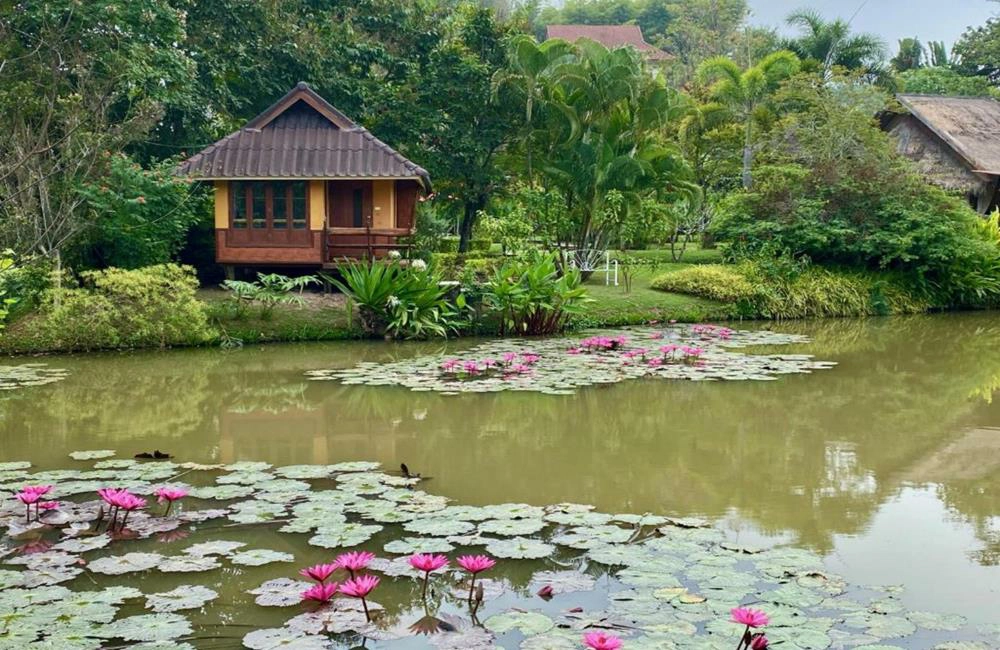 帕拉維達拜度假酒店,拜縣帕拉維達度假村,普拉維達渡假村,Pura Vida Pai Resort,拜縣住宿推薦,拜縣,拜縣住宿,泰國拜縣,拜縣 清邁,泰國,拜縣,拜縣住宿,拜縣旅遊,排帕拉維達酒店 