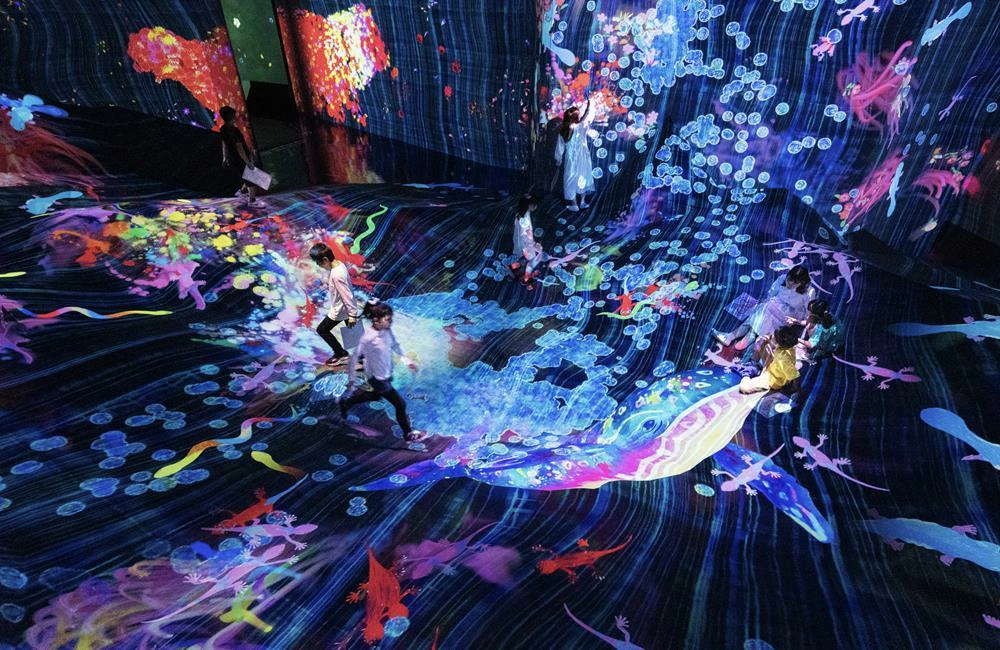 teamLab共創！未來園台北,teamlab門票,teamlab介紹,teamLab FuturePark Taipei ,teamlab台北,台北,台北展覽,台北展覽 2024,teamLab 未來的遊樂園