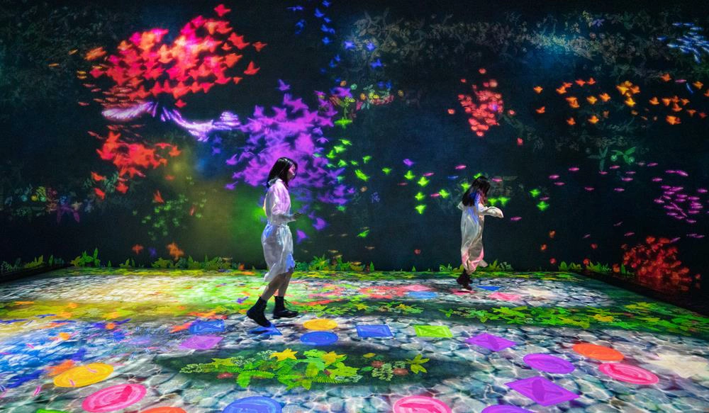 teamLab共創！未來園台北,teamlab門票,teamlab介紹,teamLab FuturePark Taipei ,teamlab台北,台北,台北展覽,台北展覽 2024,teamLab 未來的遊樂園