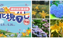 2024花現台七,繡球花,桃園,桃園繡球花季,桃園繡球花,桃園繡球花農場,桃園繡球花,桃園繡球花季,桃園繡球花 交通,桃園繡球花 推薦,桃園繡球金針花季,台七桃花源休閒農業區,百吉休閒農業區