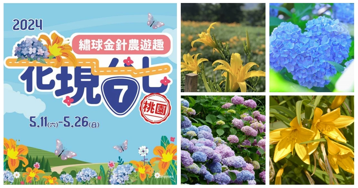 2024花現台七,繡球花,桃園,桃園繡球花季,桃園繡球花,桃園繡球花農場,桃園繡球花,桃園繡球花季,桃園繡球花 交通,桃園繡球花 推薦,桃園繡球金針花季,台七桃花源休閒農業區,百吉休閒農業區