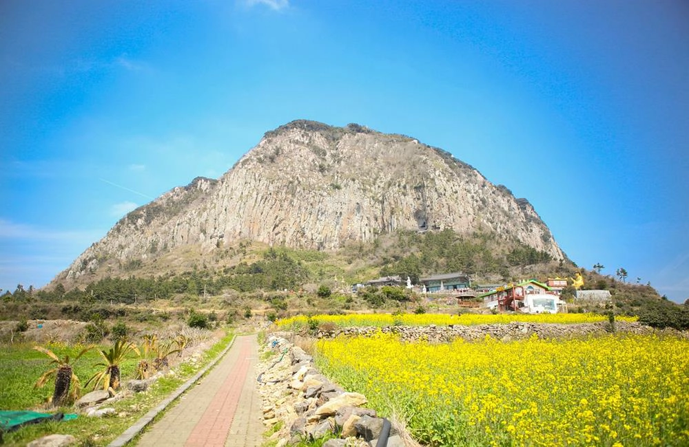 濟州島天氣,濟州島,韓國