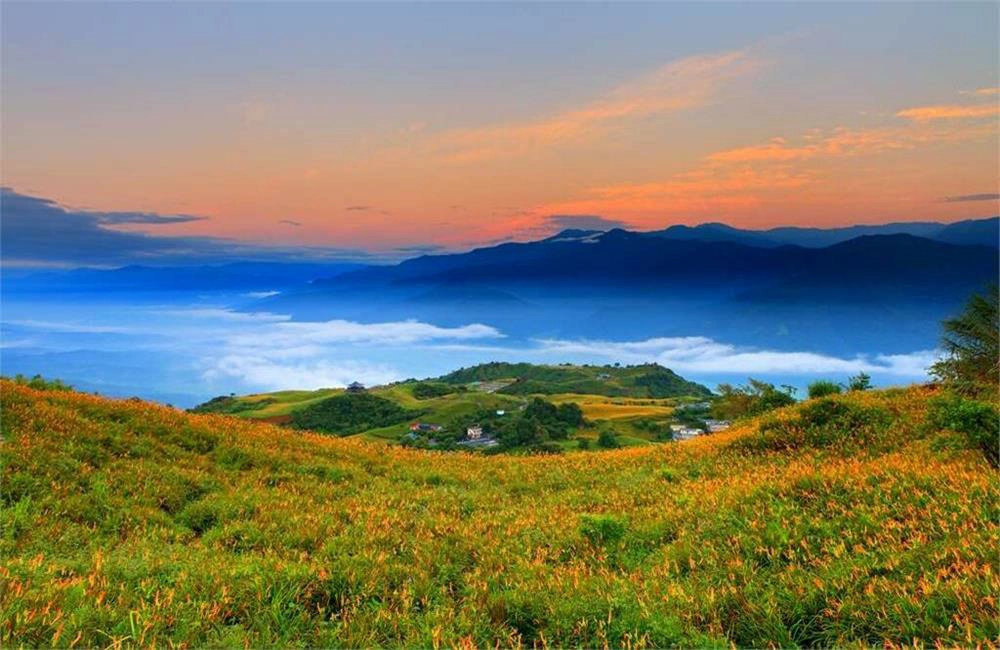 赤柯山,赤柯山金針花,赤柯山路況,赤柯山金針花季,赤柯山交通,赤柯山金針花海,赤柯山金針花 介紹,赤柯山金針花 住宿,玉里,花蓮金針花季,花蓮金針花海,花蓮金針花季節,花蓮金針花花季,花蓮金針花2024,花蓮金針花山,金針花海,金針花介紹