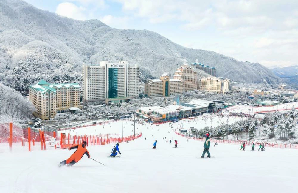 洪川大明維瓦爾第度假村,Vivaldi Park Ski World,vivaldipark,vivaldipark hotel,vivaldi park korea,vivaldipark 滑雪,洪川大明維瓦爾第度假村,洪川大明維瓦爾第度假村冰雪王國滑雪場,洪川大明維瓦爾第度假村冰雪王國,洪川大明維瓦爾第度假村滑雪,維瓦爾第度假村冰雪王國滑雪場,維瓦爾第度假村,韓國滑雪團,韓國滑雪渡假村,韓國滑雪行程,韓國滑雪推薦,韓國滑雪推薦,韓國滑雪兩天一夜,滑雪團 韓國