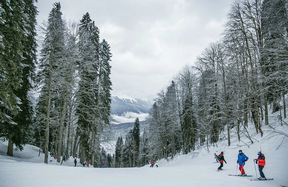 滑雪,滑雪團,滑雪場,滑雪渡假村,滑雪團推薦,韓國滑雪,韓國滑雪團,韓國滑雪渡假村,韓國滑雪行程,韓國滑雪推薦,日本滑雪,日本滑雪團,日本滑雪場排名,日本滑雪推薦,日本滑雪自由行,日本滑雪地方,日本滑雪團推薦,國外滑雪,滑雪中毒者,滑雪學校,出國滑雪,出國滑雪推薦,滑雪度假村