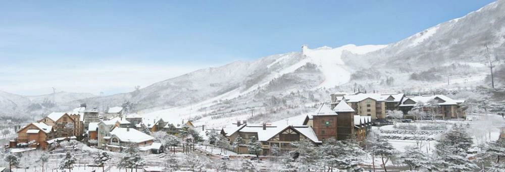 阿爾卑西亞度假村,阿爾卑西亞度假村的評論,平昌 Alpensia 度假村,韓國滑雪,alpensia,alpensia ski resort,alpensia resort pyeong chang,alpensia滑雪度假村交通,alpensia resort pyeong chang holiday inn resort hotel,alpensia intercontinental hotelalpensia度假村,alpensia渡假村,韓國滑雪團,韓國滑雪渡假村,韓國滑雪行程,韓國滑雪推薦,韓國滑雪推薦,韓國滑雪兩天一夜,滑雪團 韓國