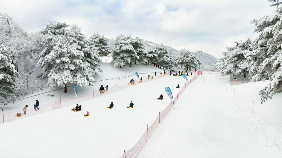 洪川大明維瓦爾第度假村,Vivaldi Park Ski World,vivaldipark,vivaldipark hotel,vivaldi park korea,vivaldipark 滑雪,洪川大明維瓦爾第度假村,洪川大明維瓦爾第度假村冰雪王國滑雪場,洪川大明維瓦爾第度假村冰雪王國,洪川大明維瓦爾第度假村滑雪,維瓦爾第度假村冰雪王國滑雪場,維瓦爾第度假村,洪川大明sono滑雪度假村,韓國滑雪團,韓國滑雪渡假村,韓國滑雪行程,韓國滑雪推薦,韓國滑雪推薦,韓國滑雪兩天一夜,滑雪團 韓國