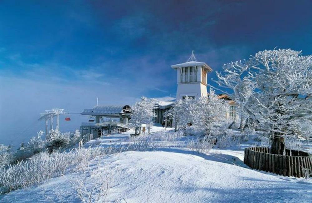 龍平度假村滑雪場,龍平度假村滑雪場 交通,Yongpyong Ski Resort,龍平度假村,龍平度假村滑雪場,龍平度假村 住宿,龍平度假村 交通,龍平度假村 首爾,龍平度假村 水上樂園,龍平度假村 旅遊,龍平度假村 滑雪,mona yongpyong resort,mona yongpyong tower condominium,mona yongpyong - ski resort,mona yongpyong hotel,韓國滑雪團,韓國滑雪渡假村,韓國滑雪行程,韓國滑雪推薦,韓國滑雪推薦,韓國滑雪兩天一夜,滑雪團 韓國