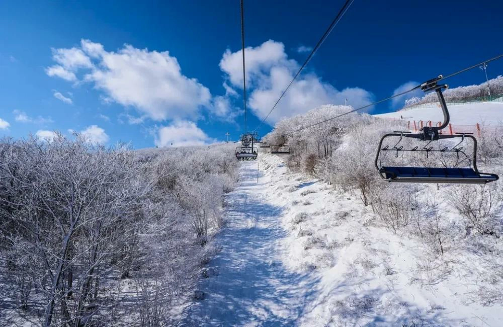 High 1度假村,High 1 Resort,high1 滑雪場,high1,high1 resort,high1 grand hotel main tower,high1 condominium,high1 resort的評論,high1 water world,high1 resort的圖片,high1 hotel,韓國滑雪團,韓國滑雪渡假村,韓國滑雪行程,韓國滑雪推薦,韓國滑雪推薦,韓國滑雪兩天一夜,滑雪團 韓國