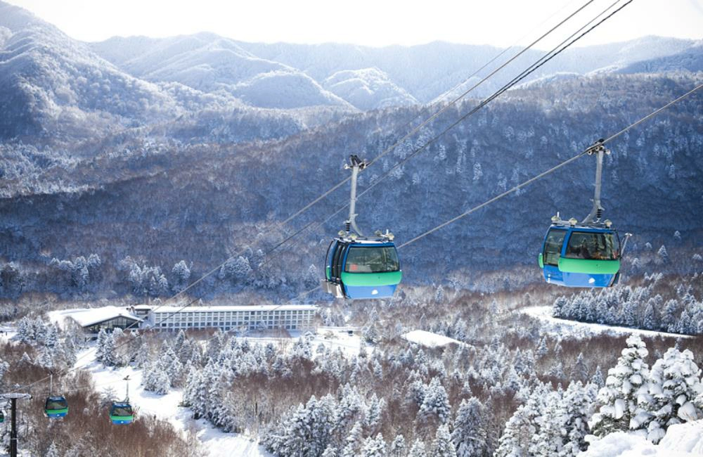 志賀高原滑雪場,Shiga Kogen Yakebitaiyama,志賀高原滑雪場地圖,志賀高原滑雪場交通,志賀高原滑雪場開放時間,志賀高原滑雪場雪票,志賀高原滑雪場住宿,志賀高原滑雪場官網,志賀高原滑雪場 推薦,志賀高原滑雪場 酒店,日本滑雪,日本滑雪團,日本滑雪場排名,日本滑雪推薦,日本滑雪自由行,日本滑雪地方,日本滑雪團推薦