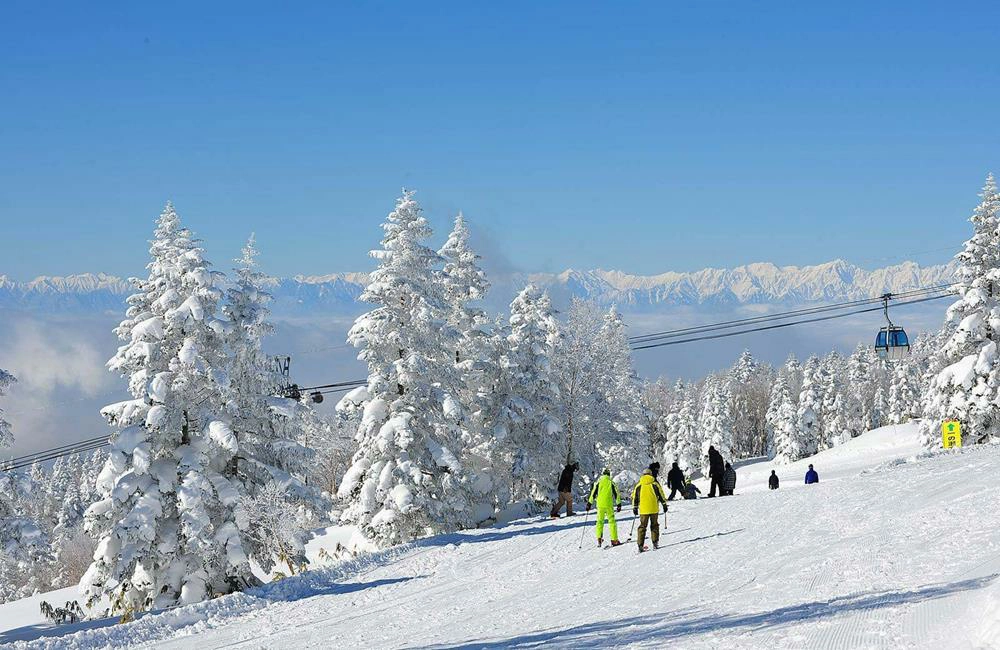 志賀高原滑雪場,Shiga Kogen Yakebitaiyama,志賀高原滑雪場地圖,志賀高原滑雪場交通,志賀高原滑雪場開放時間,志賀高原滑雪場雪票,志賀高原滑雪場住宿,志賀高原滑雪場官網,志賀高原滑雪場 推薦,志賀高原滑雪場 酒店,日本滑雪,日本滑雪團,日本滑雪場排名,日本滑雪推薦,日本滑雪自由行,日本滑雪地方,日本滑雪團推薦