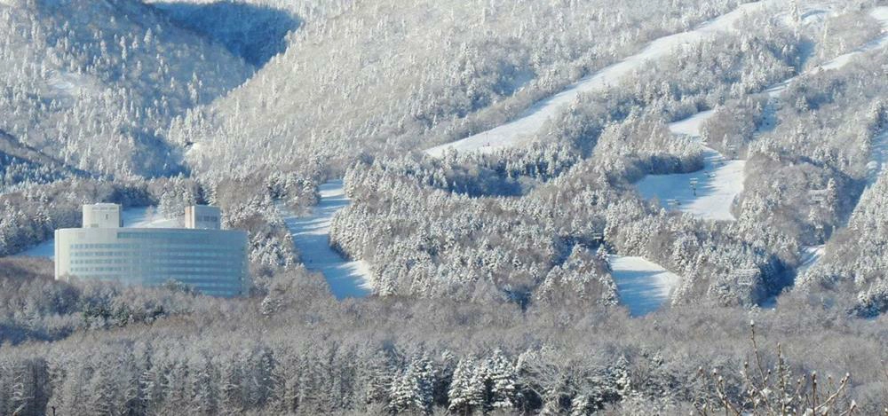 富良野滑雪場,Furano ski resort,王子滑雪度假中心,富良野 王子滑雪度假中心,富良野滑雪場,富良野滑雪場 住宿,富良野滑雪場交通,富良野滑雪場門票,富良野滑雪場 教練,富良野滑雪場雪票,富良野滑雪場地圖,Shin Furano Prince Hotel,新富良野王子大飯店,Furano Prince Hotel,富良野王子大飯店,shin furano prince hotel,shin furano prince hotel snow resort,新富良野王子大飯店,富良野王子大飯店,富良野王子大飯店 北海道