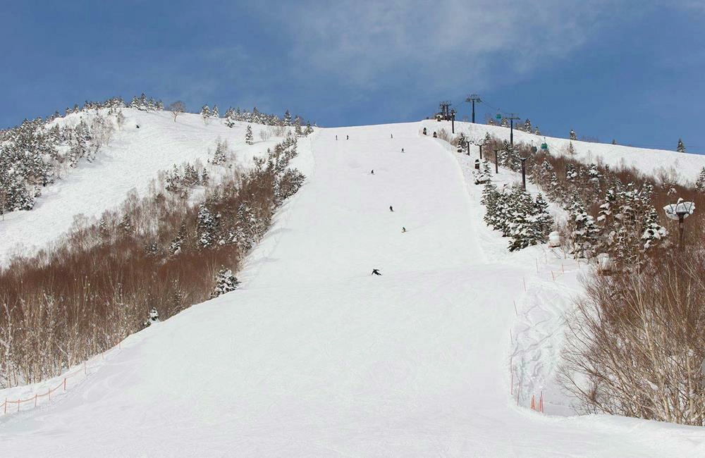 志賀高原滑雪場,Shiga Kogen Yakebitaiyama,志賀高原滑雪場地圖,志賀高原滑雪場交通,志賀高原滑雪場開放時間,志賀高原滑雪場雪票,志賀高原滑雪場住宿,志賀高原滑雪場官網,志賀高原滑雪場 推薦,志賀高原滑雪場 酒店,日本滑雪,日本滑雪團,日本滑雪場排名,日本滑雪推薦,日本滑雪自由行,日本滑雪地方,日本滑雪團推薦