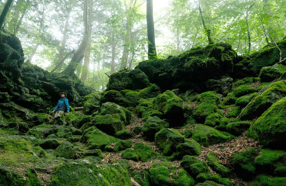 虹夕諾雅富士活動,虹夕諾雅,,星野集團,星野渡假村,日本露營,河口湖露營,富士山露營,虹夕諾雅富士