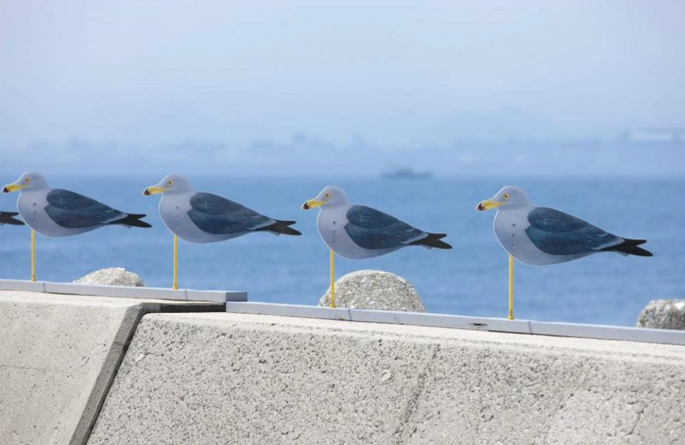 瀨戶內海pass行程,瀨戶內海自由行,日本,瀨戶內海,瀨戶內海藝術祭,瀨戶內國際藝術祭