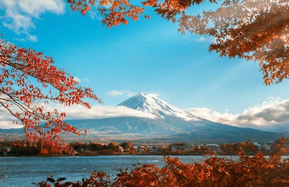 富士山馬拉松,富士山馬拉松日期,富士山馬拉松時間,馬拉松,日本,日本馬拉松,富士山,河口湖,馬拉松比賽,馬拉松賽事,日本馬拉松推薦,國際馬拉松,海外馬拉松