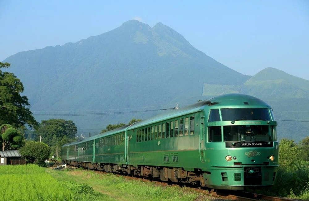 由布院之森車廂走道融合森林意象設計