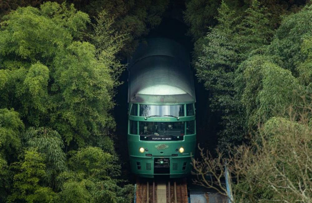 由布院之森列車外觀與沿途綠意景色