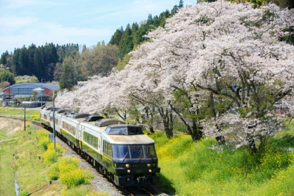 阿蘇男孩！列車外觀黑白塗裝與吉祥物小黑